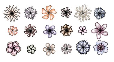 Kart ya da davet için çiçek rengi seti. Vektör el çizimi resimleme