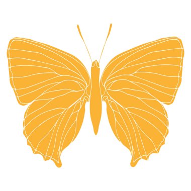 Kelebek silueti sanat çizimi. Çıkartmalar, dövmeler, siluetler, hatıra defterleri için böcek kelebeği. Kanatlı muhteşem hayvan. Vektör el çizimi resimleme, beyaz arkaplanda izole.