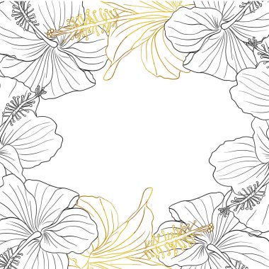 Kart tasarımı, düğün davetiyesi, albüm tasarımı için Hibiscus çiçek çerçeveli pansiyoner. Çizgi sanatı siyah mürekkep ve altın el tropikal çiçek arkaplanı