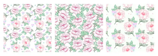 Bahar pembe şakayığı desensiz desen çizgili renkli çiçek deseni. Çin piyonu ve çiçek arkaplanı.