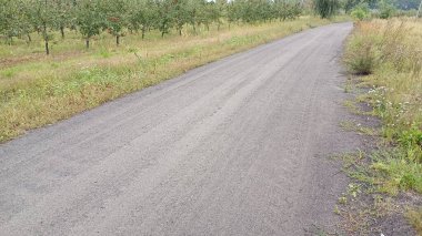 Yanında toprak yol olan bir yol. Yol boş ve üzerinde hiç araba yok.