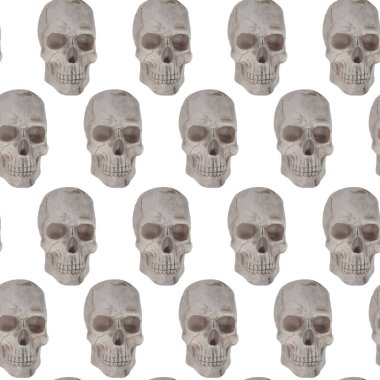 Gerçekçi insan kafatası çizimi. Tıbbi, anatomik ya da gotik tasarımlar için ideal..