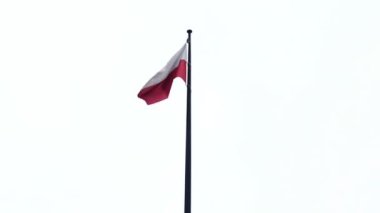 Kırmızı ve beyaz bayrak. Temiz gökyüzü ile Polonya ulusal bayrağı. Yüksek kaliteli FullHD görüntüler
