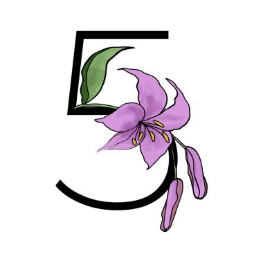 Lilly, kart ya da davetiye tasarımı için mor çiçek alfabe numarası. Düğün için beyaz arkaplanda izole edilmiş vektör çiçek desenleri..