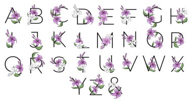 Lilly, kart ya da davetiye tasarımı için mor çiçek alfabesi. Düğün için beyaz arkaplanda izole edilmiş vektör çiçek desenleri..