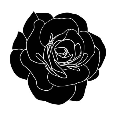 Kamelya çiçekleri siluet vektörü Kamelya ve gül çiçeği başı beyaz arka planda yalıtılmış bahar için. Vektör illüstrasyonu