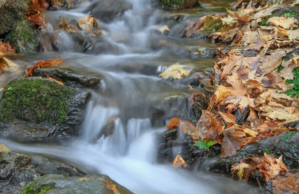 Água Fluxo Natural Exposição Longa Floresta — Fotografia de Stock