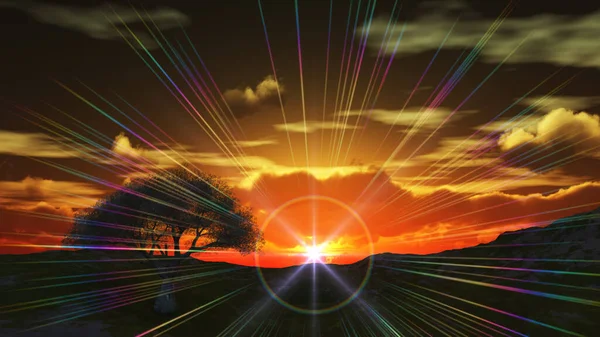 Zonsondergang Bij Weide Eenzame Boom Illustratie Stockfoto