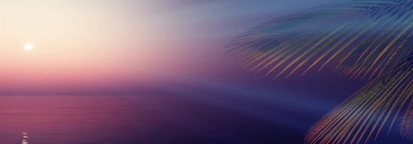 Sonnenuntergang Meer Palme Landschaft Illustration Render — Stockfoto