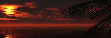 Gün batımı deniz palmiyesi çizimi, 3D görüntüleme