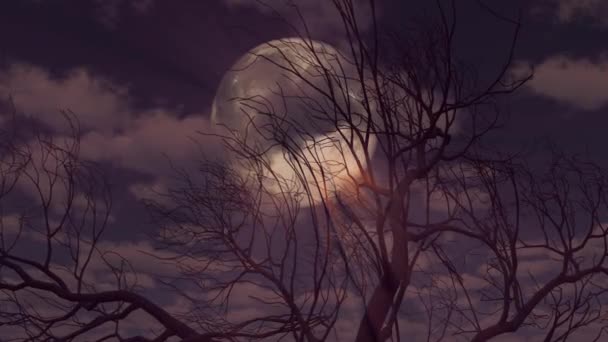Lua Sobe Através Nuvens Árvore — Vídeo de Stock