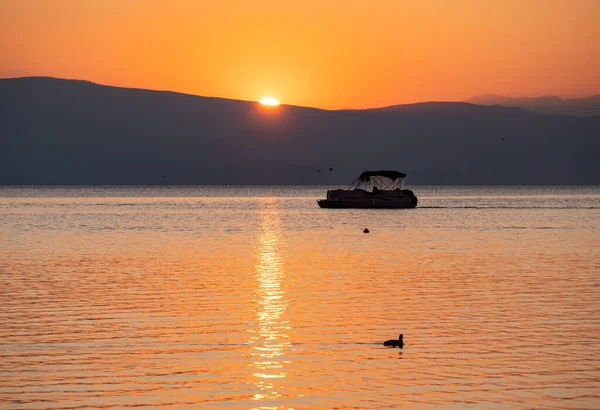 Σιλουέτα Γλάροι Που Κολυμπούν Στη Λίμνη Κατά Διάρκεια Του Ηλιοβασιλέματος — Φωτογραφία Αρχείου