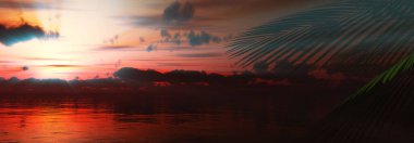 Gün batımı deniz palmiyesi çizimi, 3D görüntüleme