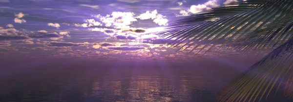 夕日の海のヤシの風景図3Dレンダリング — ストック写真