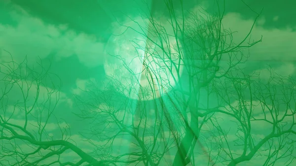 ツリーと満月の背景3Dレンダリングイラスト — ストック写真