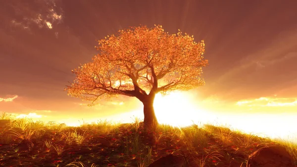 Träd Våren Äng Solnedgång Illustration Rendering — Stockfoto