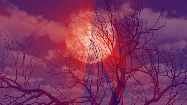 Arbre Pleine Lune Fond Rendre Illustration — Photo