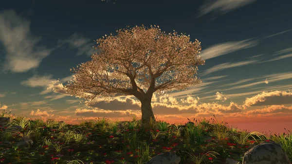 Träd Våren Äng Solnedgång Illustration Rendering — Stockfoto