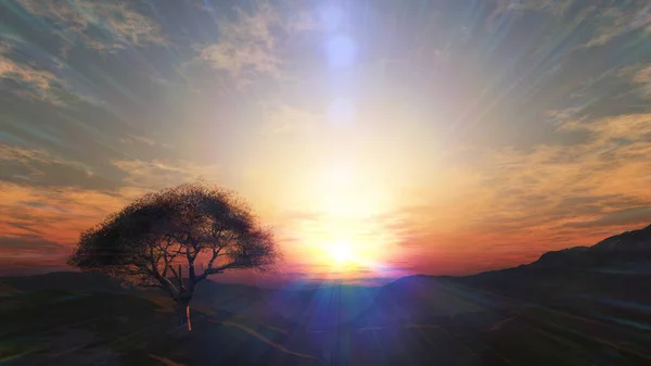 stock image sunset at meadow and lonely tree, 3d render illustration
