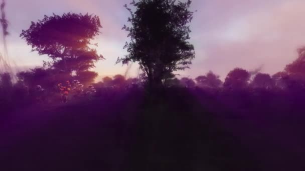 Amanecer Sol Luz Sobre Campo — Vídeo de stock