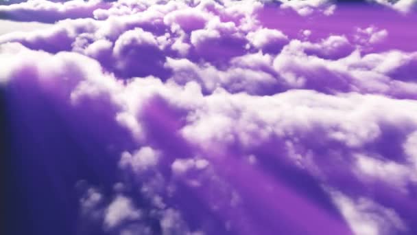 Ψηλά Πετούν Πάνω Από Σύννεφα — Αρχείο Βίντεο