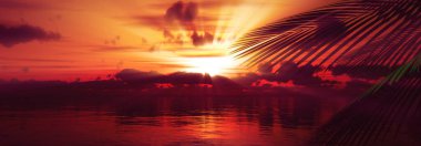 Gün batımı deniz palmiyesi çizimi, 3D görüntüleme