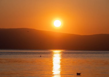 Gün batımında Gölde Yüzen Martılar