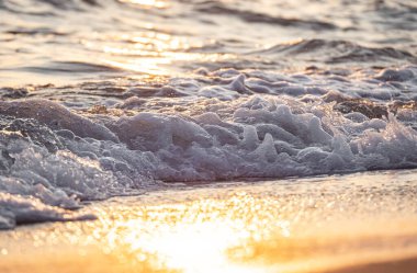 Dalgalar deniz kıyısı makrosu sıçratıyor. Yaklaş.