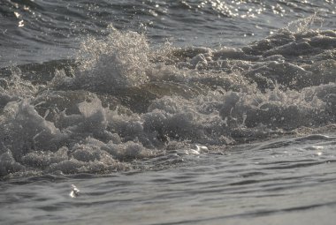 Dalgalar deniz kıyısı makrosu sıçratıyor. Yaklaş.
