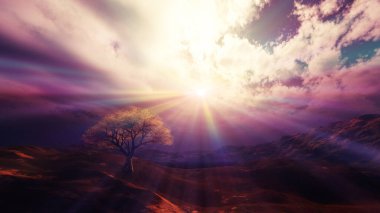 Çayırda gün batımı ve yalnız ağaç, üç boyutlu resimleme