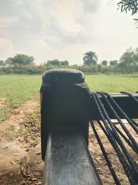 Kuvveti üssünden tahmin edilebilen devasa bir Charpai bulundu..