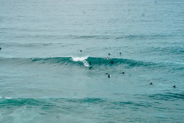 Okyanusta sörfçüler. Cape Sagres, Algarve, Portekiz 'deki Praia do Tonel (Tonel plajı) panorama manzarası. Praia Do Tonel, Alentejo, Portekiz plajı. Praia Do Tonel sahilinde okyanus dalgaları. Sagres Kalesinden Görünüm.
