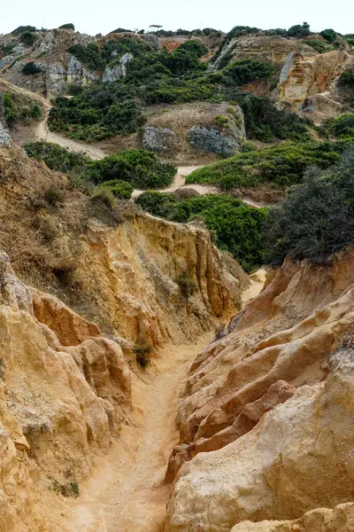 Portekiz, Lagos 'taki Ponta da Piedade' den Rocky Clifs. Okyanus güzel manzara kayalıkları 