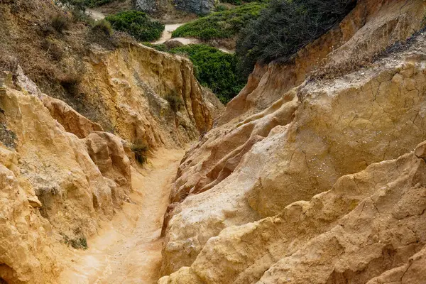 Portekiz, Lagos 'taki Ponta da Piedade' den Rocky Clifs. Okyanus güzel manzara kayalıkları 