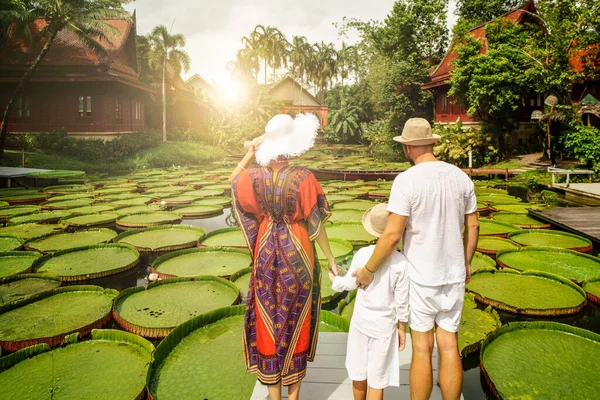 环视旅行的家庭 看到美丽的池塘与巨大的荷花 热带岛屿 真正的人民生活方式 — 图库照片
