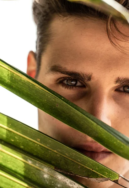 Beauty closeup portrait of handsome young man looking at the camera through green palms leaf. Summer vibes. Male model. Skin care