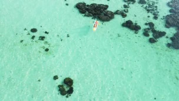 Aerial View Kayaking Tropical Transparent Water Summer Vibes Hobby — Stock video