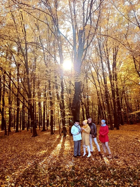 Een Groep Senioren Die Praten Ontspannen Het Gouden Herfstpark Lifestyle — Stockfoto