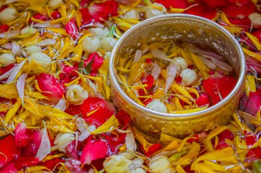 Songkran Günü 'nde, saygıdeğer yaşlıların eline su dök ve dua et..