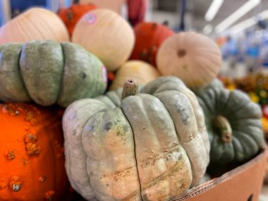 Cadılar Bayramı ve sonbahar mevsimlik dekorasyon renkli sonbahar kabakları yakın bir mağazada sergilenir