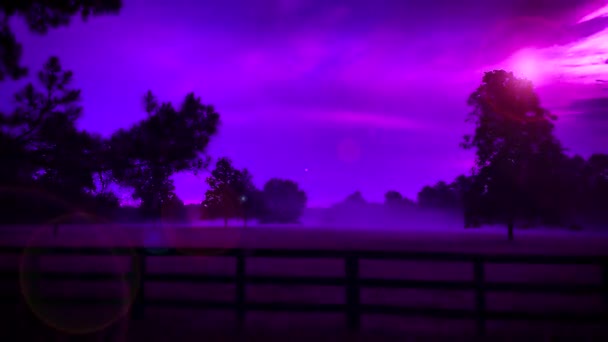 バイオレット電気朝ピンク紫色の雨の動き自然背景レンズフレアと暗い国の画面 — ストック動画