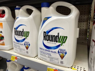 Augusta, Ga USA - 09 01: 22: Walmart mağazasının içi böcek ilacı bölüm fiyatlarını toparladı