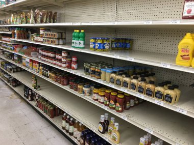 Stone Mountain, Ga USA - 04: 20 Büyük Lot perakende indirim mağazası iç kaplama 2020 düşük gıda rafları