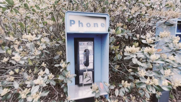 Augusta Usa Vintage Blue Outdoor Public Payphone Booth Nature Background — Φωτογραφία Αρχείου