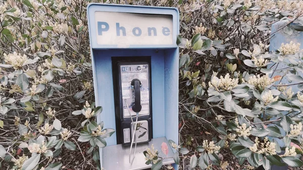 Augusta Usa Vintage Blue Outdoor Openbare Telefooncel Gebladerte — Stockfoto