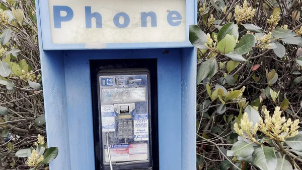 Augusta Usa Vintage Blue Outdoor Public Payphone Booth Leaves Growing — Φωτογραφία Αρχείου