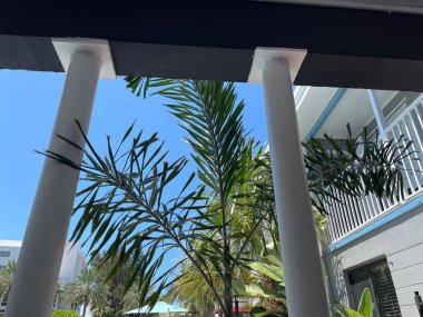 Hazine Adası, Fla USA - 08 09: 23: Hazine Adası beyaz kirişler ve palmiye ağaçları arasından bakıyor