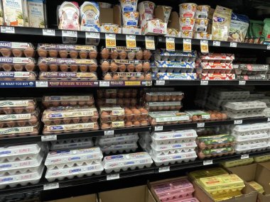Grovetown, Ga USA - 11 10 22: Food Lion market yumurta bölümü ve fiyatlar yan görünüm