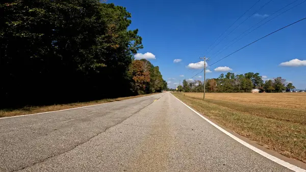 Burke County Usa Pov Driving Country Low Ground Fall Season — стоковое фото