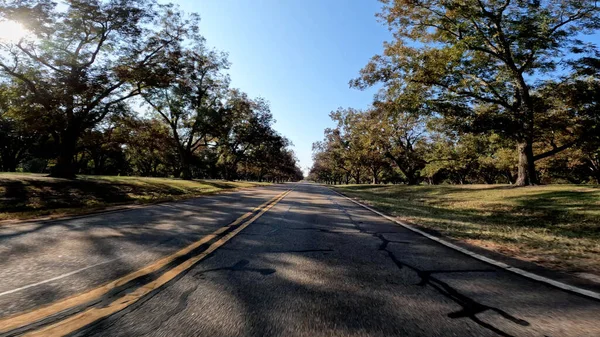 Burke County, Ga USA - 103 03: 22: POV Fındık Ağacı Bahçesi 'ne kadar ülke